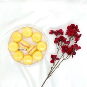 Macaron de Bain | Freesia